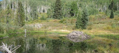 Hiking In Steamboat Springs: Gilpin Lake