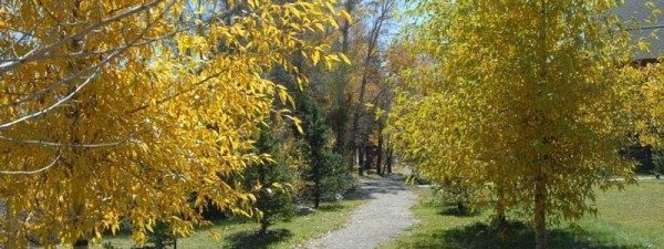 Hiking In Steamboat Springs: Fish Creek Falls