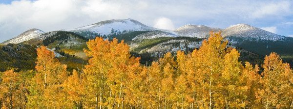 Mountain Living 101: How to Drive in the Mountains