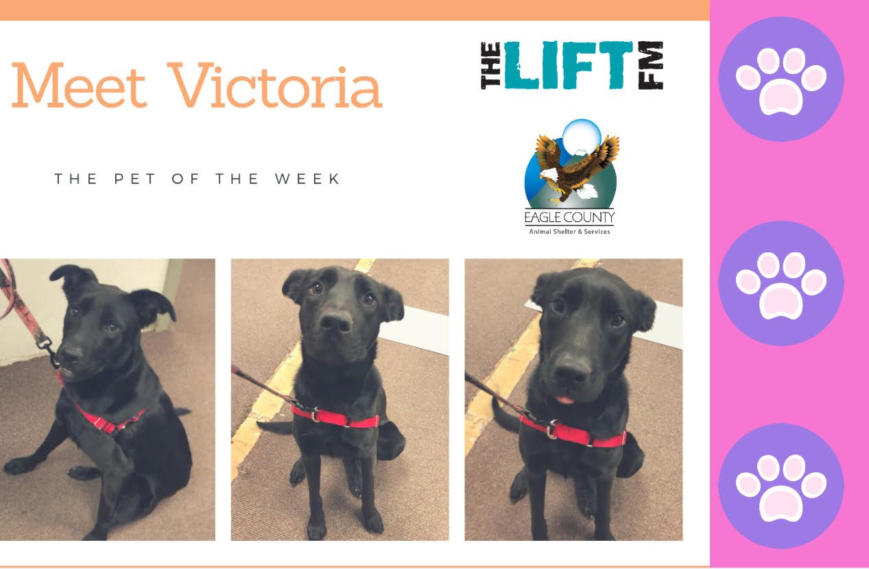 VictoriaPet of the Week KKCH The Lift FM