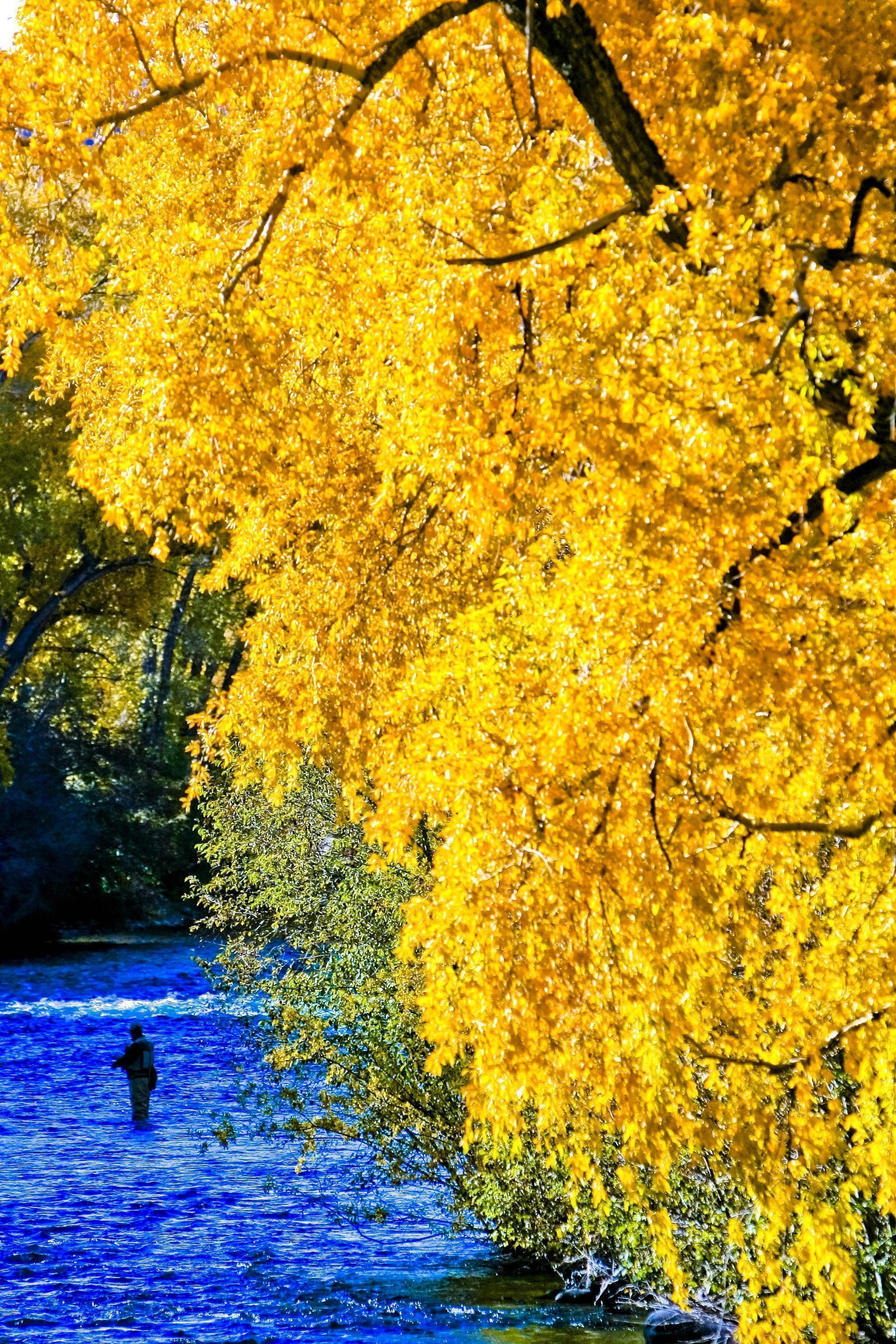 the-5-best-colorado-areas-for-fall-foliage-viewing-knfo-sports-talk