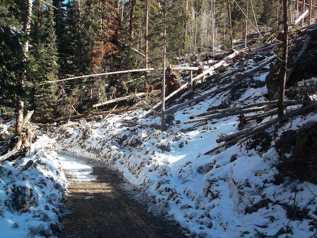 An avalanche toppled numerous tree trunks and other debris where campsite No. 9 used to be along Lincoln Creek Road.