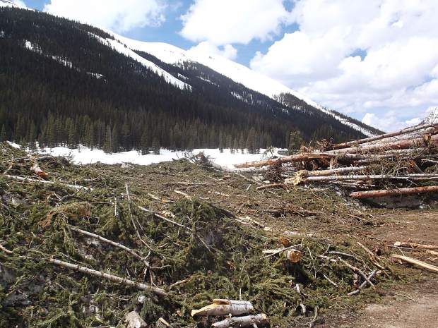 Tree trunks are stacked like matchsticks after the Schryvers plowed Lincoln Creek Road. They plowed through the debris of 14 avalanches.