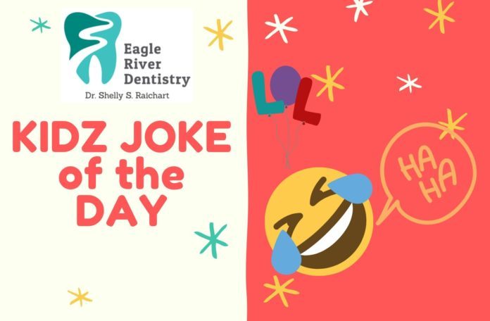 KIDZ JOKE OF THE DAY